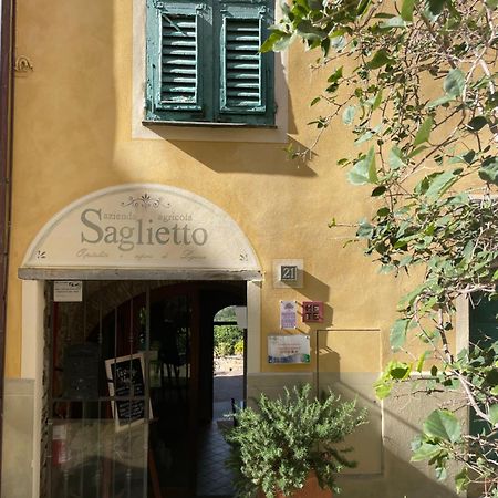 Uliveto Saglietto Agriturismo A Poggi Apartments Imperia Zewnętrze zdjęcie