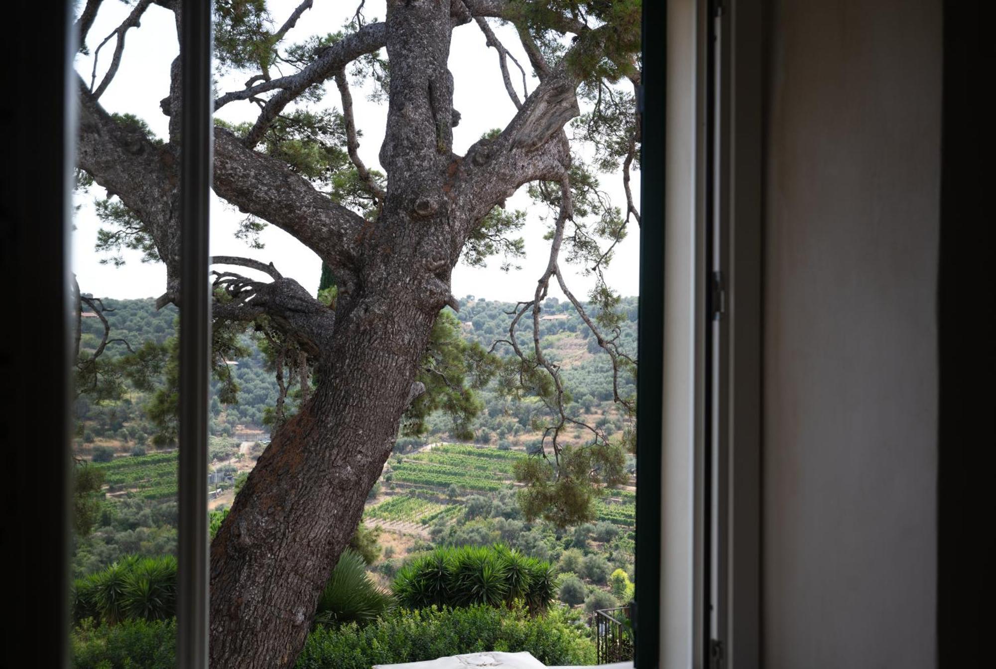 Uliveto Saglietto Agriturismo A Poggi Apartments Imperia Zewnętrze zdjęcie