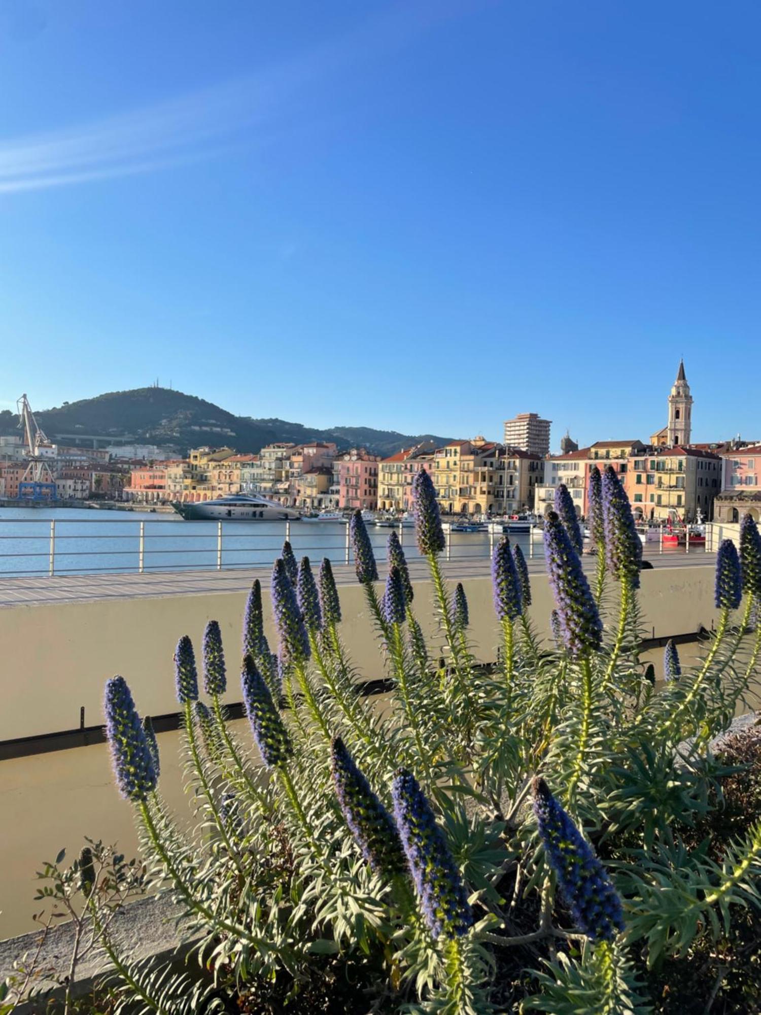 Uliveto Saglietto Agriturismo A Poggi Apartments Imperia Zewnętrze zdjęcie