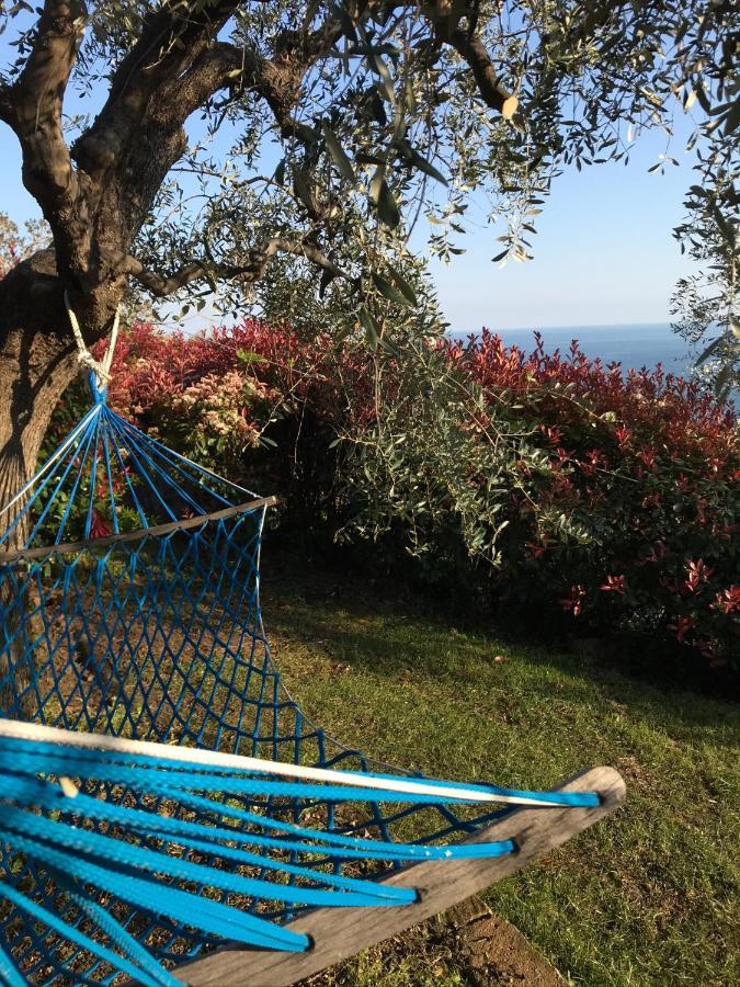 Uliveto Saglietto Agriturismo A Poggi Apartments Imperia Zewnętrze zdjęcie